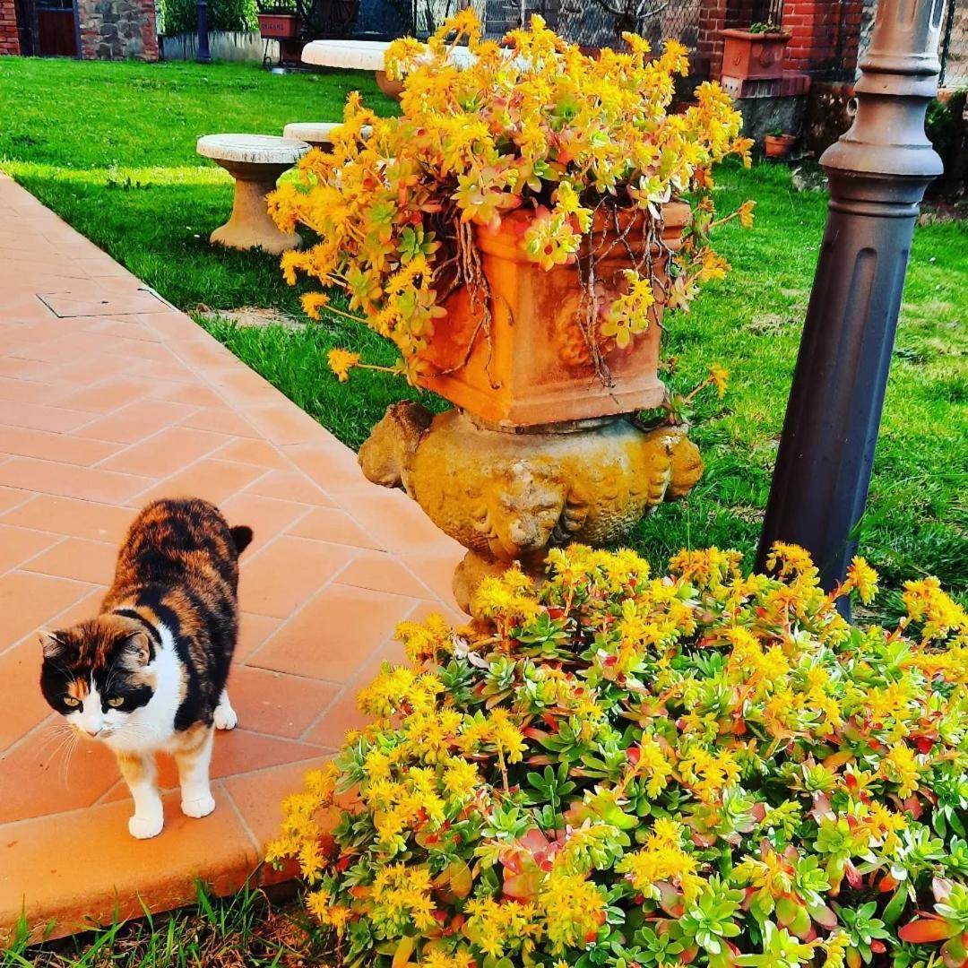 Il Casale Di Lucullo Villa Lucignano Buitenkant foto