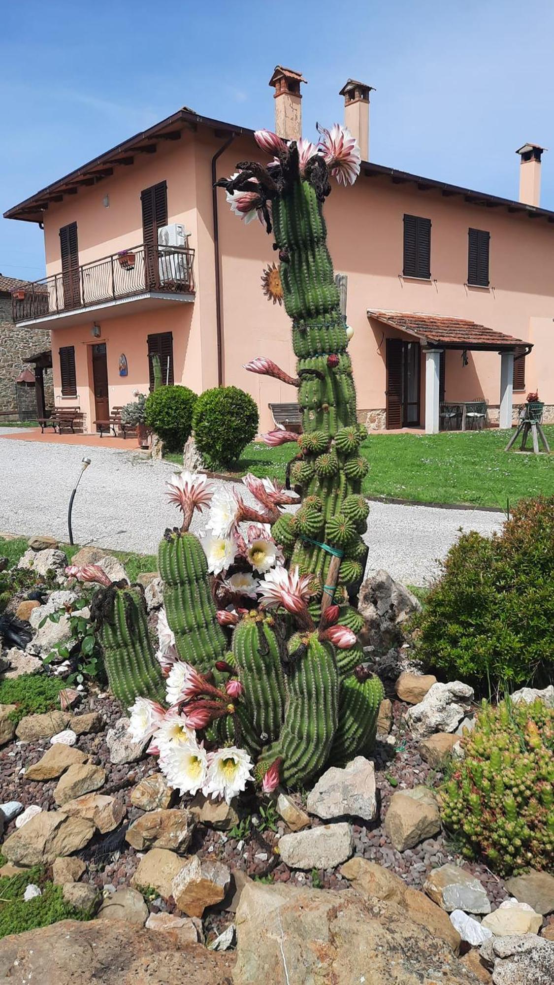 Il Casale Di Lucullo Villa Lucignano Buitenkant foto